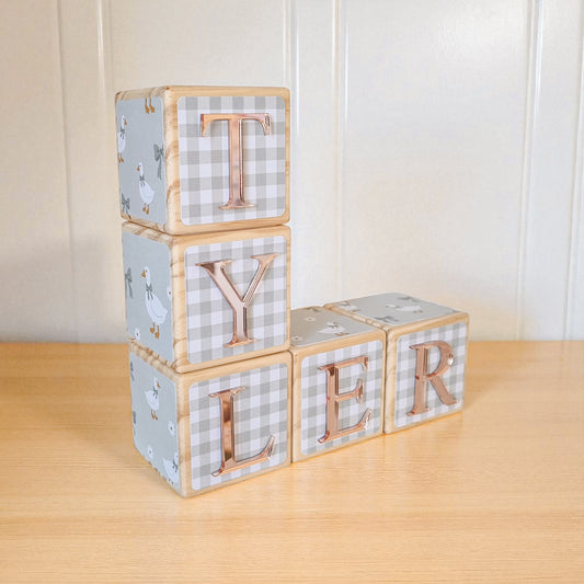NAME BLOCKS - LITTLE GOOSE (SAGE)
