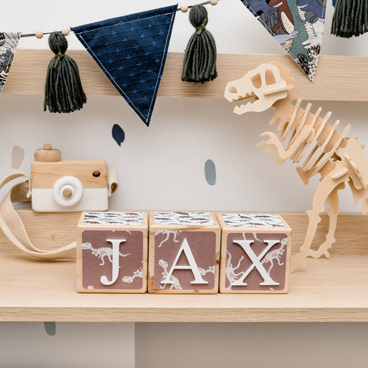 NAME BLOCKS - DINOSAUR DIG