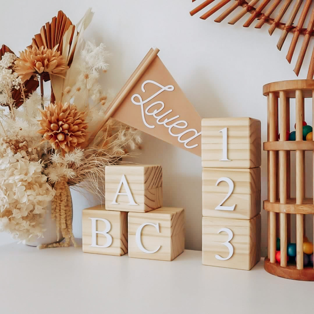 PLAYROOM BLOCKS - ABC123 NUDIE SET (Set of 6 blocks)