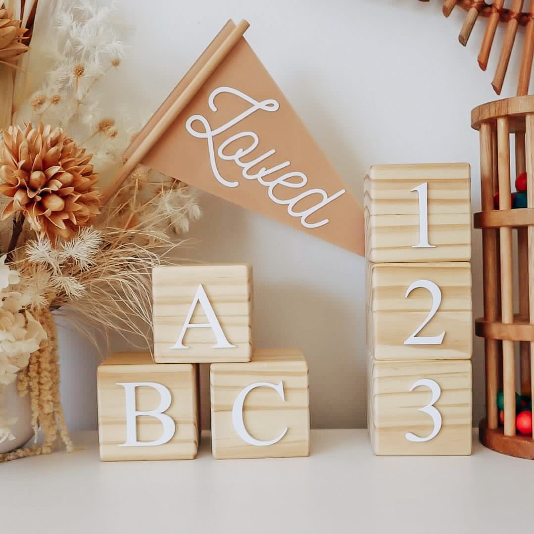 PLAYROOM BLOCKS - ABC123 NUDIE SET (Set of 6 blocks)