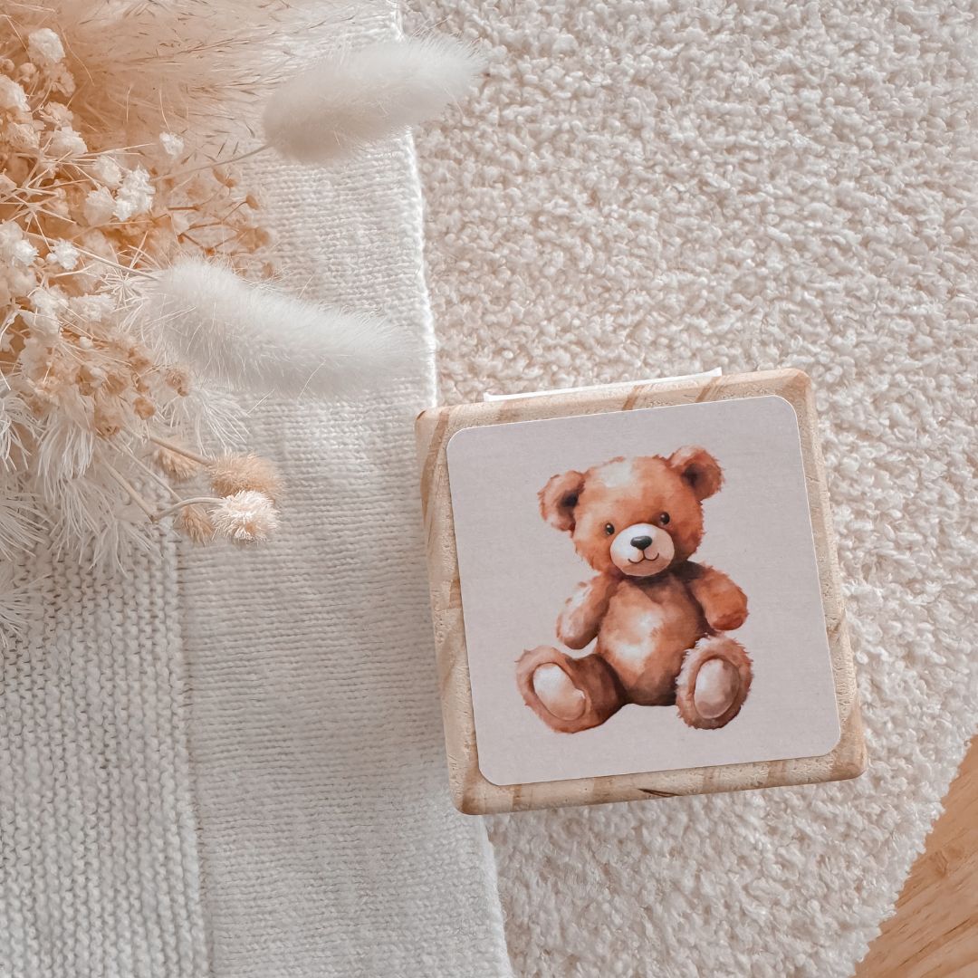 BIRTH BLOCK - LITTLE BEAR