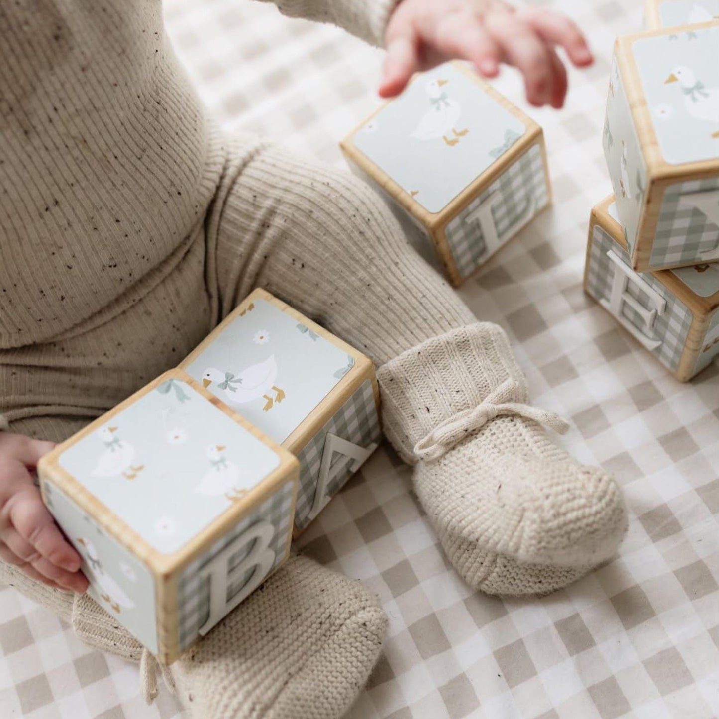 NAME BLOCKS - LITTLE GOOSE (SAGE)