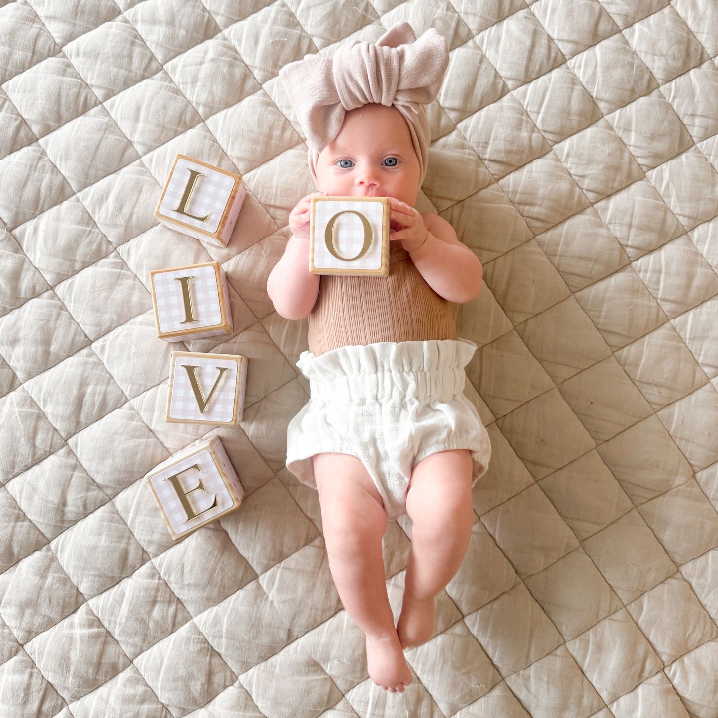 NAME BLOCKS - LITTLE GOOSE (PALE BLUSH)