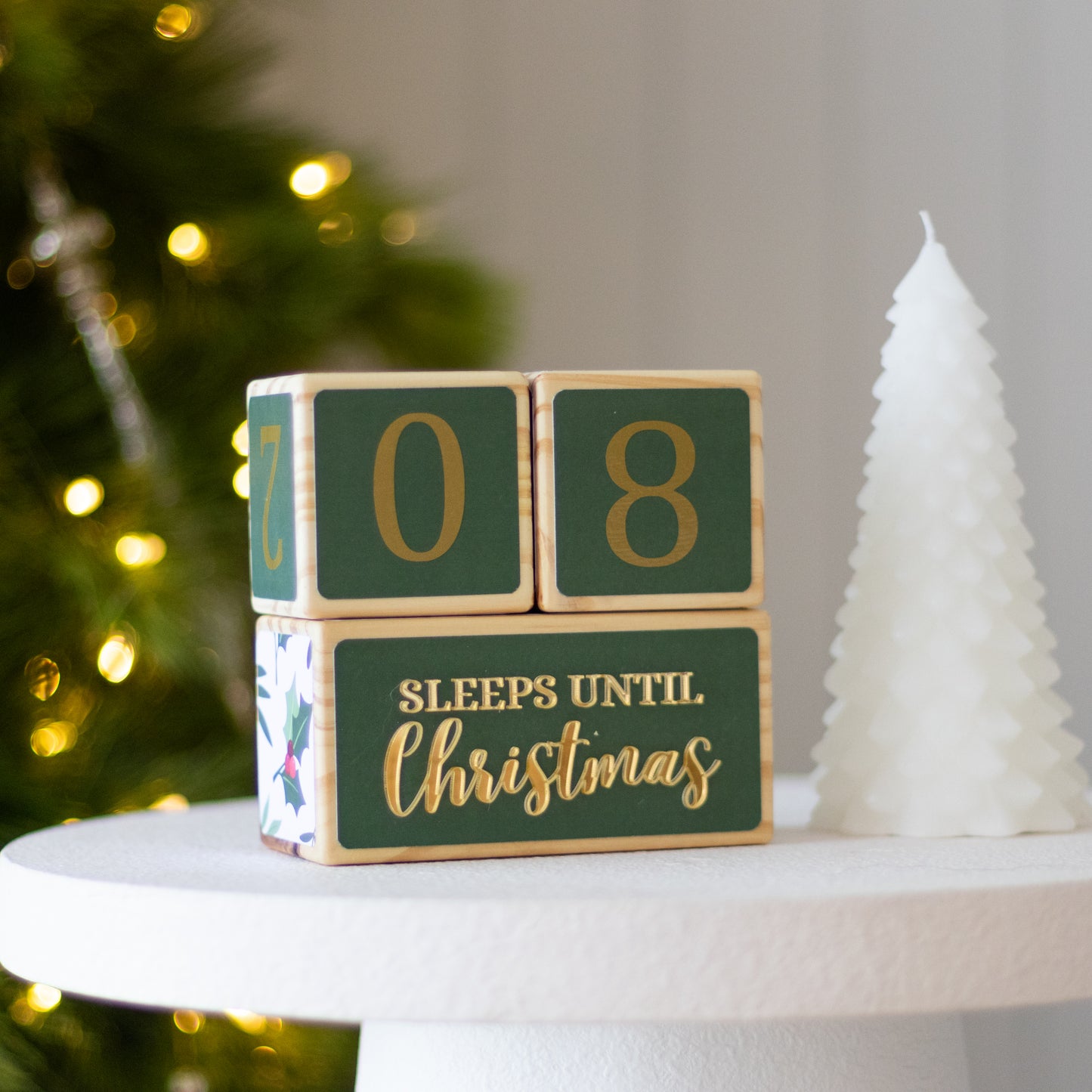 SLEEPS UNTIL CHRISTMAS COUNTDOWN SET (HOLLY)