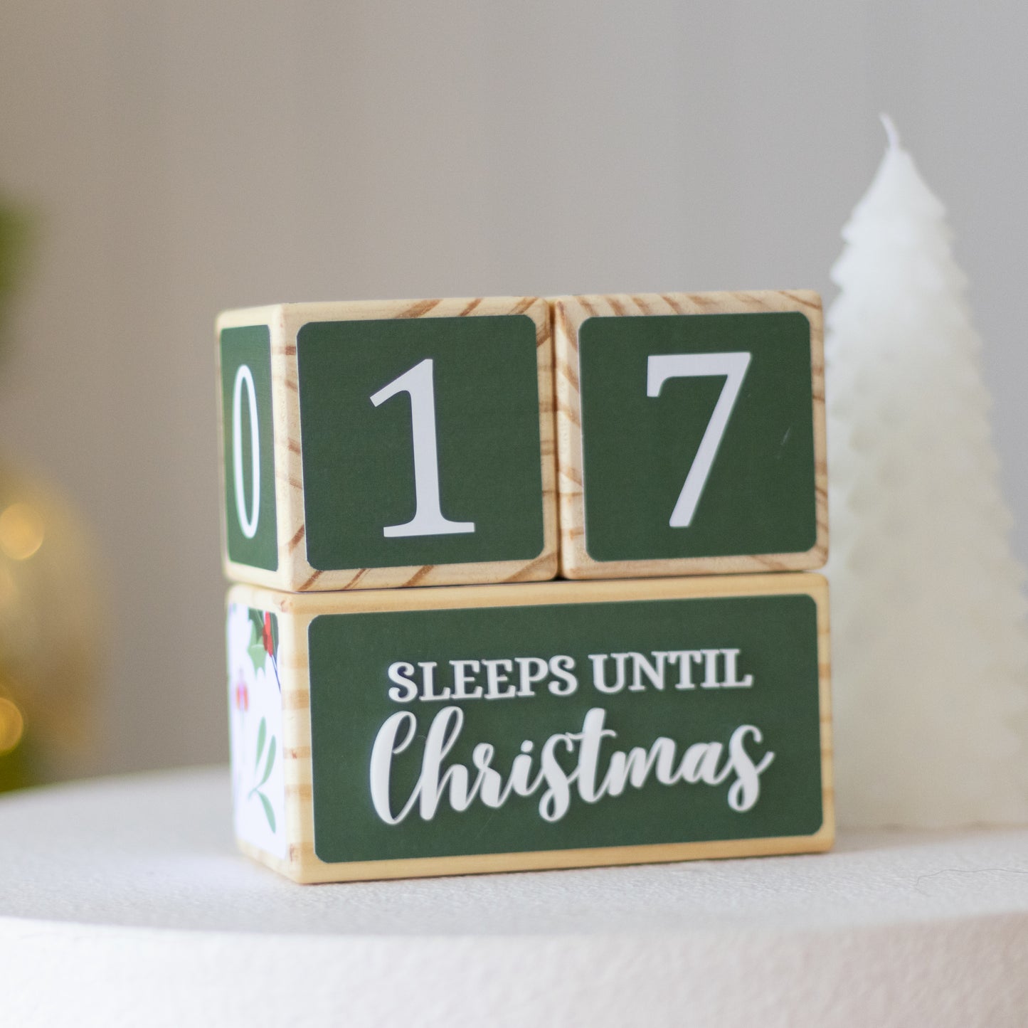 SLEEPS UNTIL CHRISTMAS COUNTDOWN SET (HOLLY)