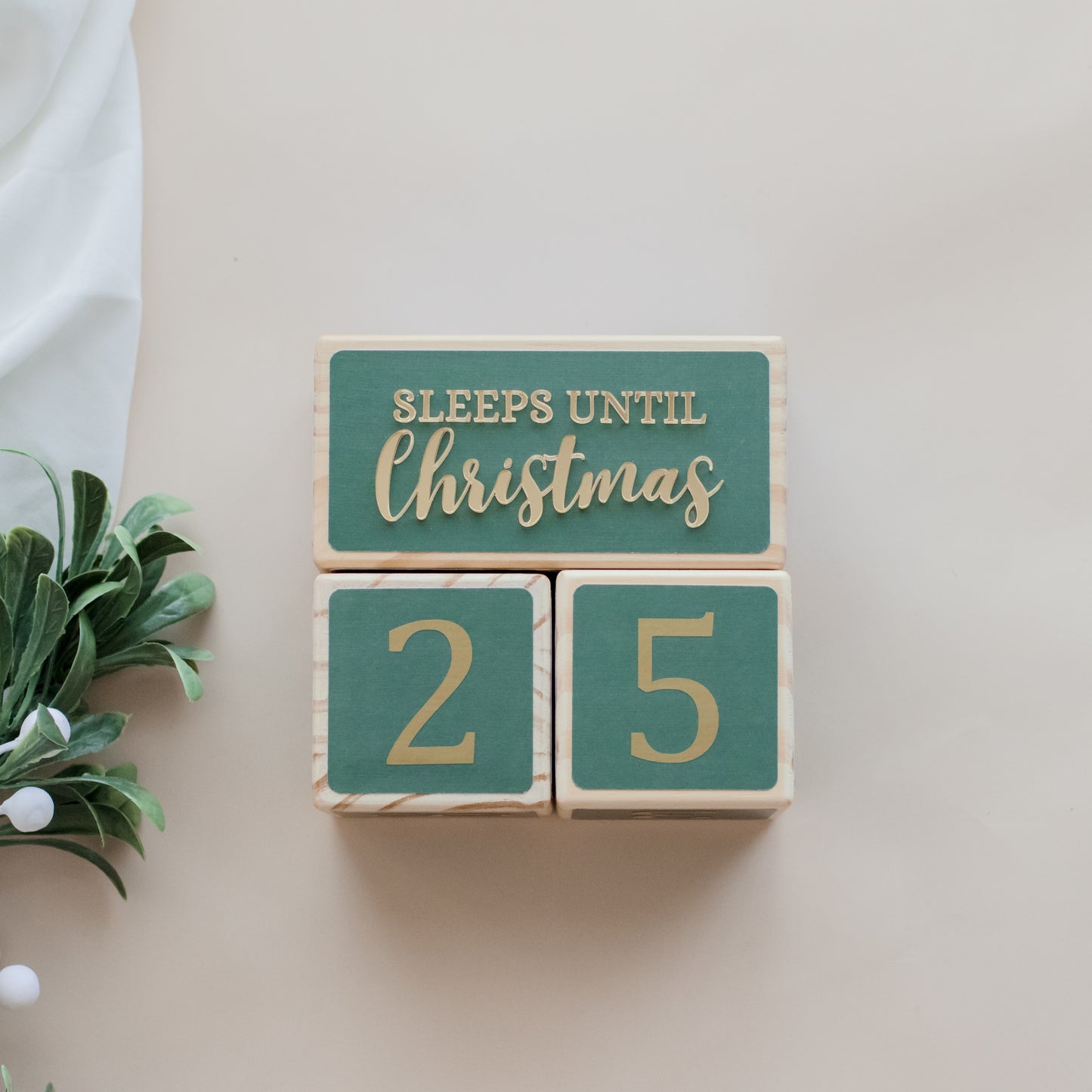 SLEEPS UNTIL CHRISTMAS COUNTDOWN SET (HOLLY)