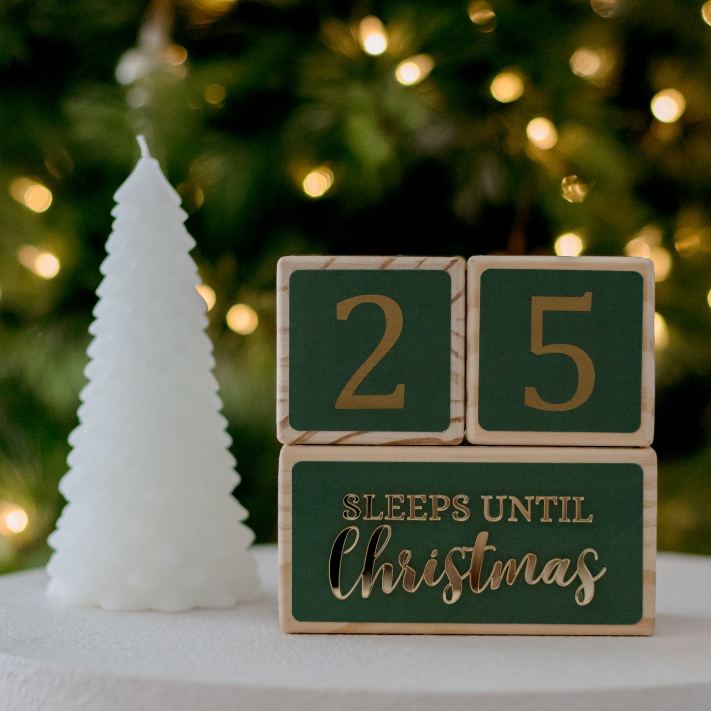 SLEEPS UNTIL CHRISTMAS COUNTDOWN SET (HOLLY)